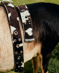 Vixen Studded Cow Leather Belt *Handmade*