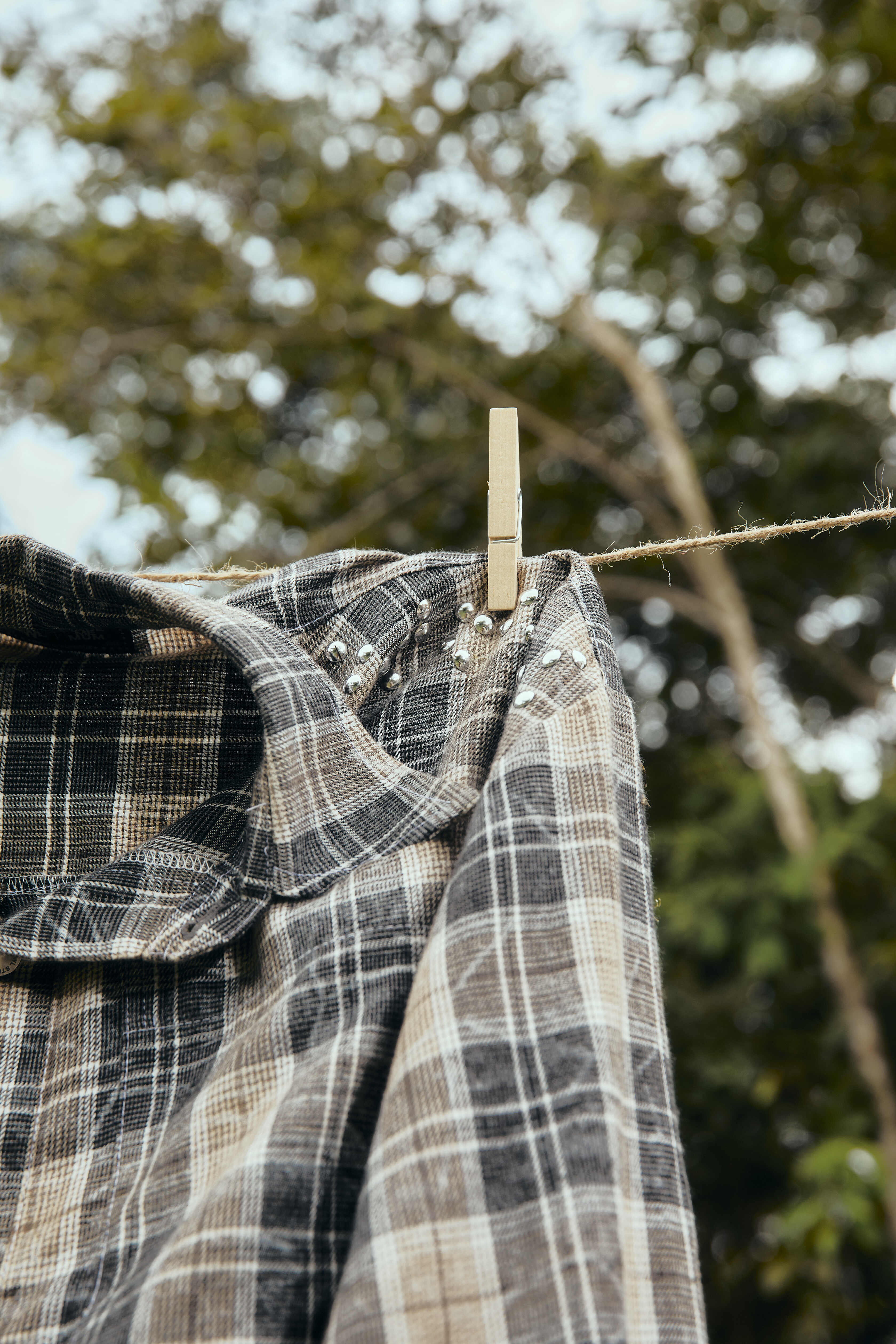Vixen Long Sleeve Plaid Shirt (Ships on Oct 20)