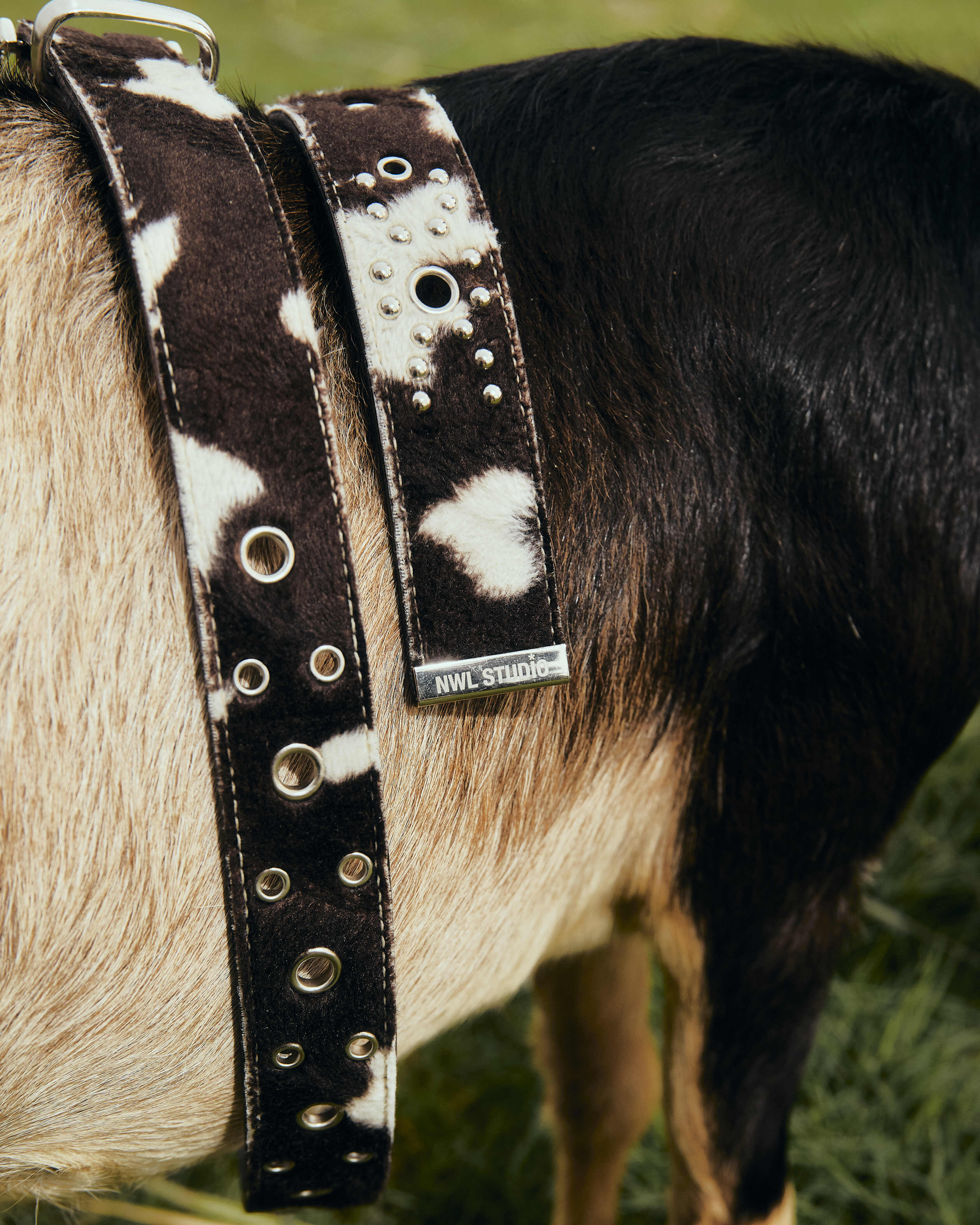 Vixen Studded Cow Leather Belt  *Handmade*