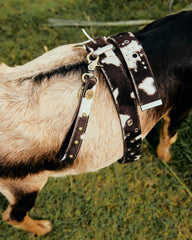 Vixen Studded Cow Leather Belt  *Handmade*